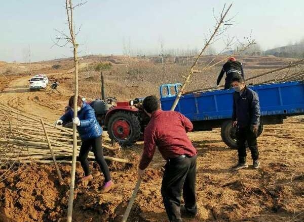 微信圖片_20200321133849_看圖王(3).jpg
