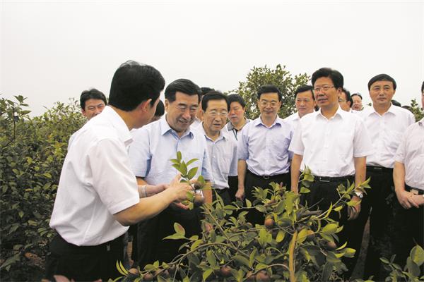 2  2008年9月，回良玉副總理（左二）在湖南省油茶基地考察.jpg