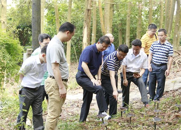 2　　賀州市委書記李宏慶（前排右二）調研林場林下經濟　　.jpg