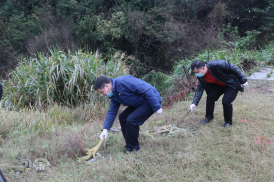 4.30（衡陽(yáng)市林業(yè)局）勠力同心戰(zhàn)疫情 衡陽(yáng)林業(yè)在行動(dòng)1033.png