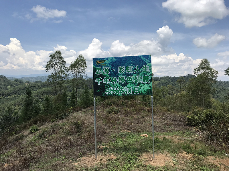從2007年開始，公司到云南師宗投資，扶持當地林農植樹造林活動，使當地種植林面積由8萬余畝達到110萬畝。.jpg