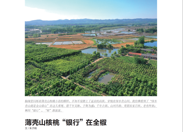 銀行在全椒.png