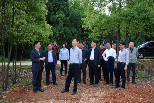 3　　湖北省林業局局長劉新池率機關工作組到太子山林管局調研林場改革發展工作。.JPG