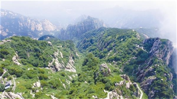 　泰山巍峨 牛書培攝（中新社發）.jpg