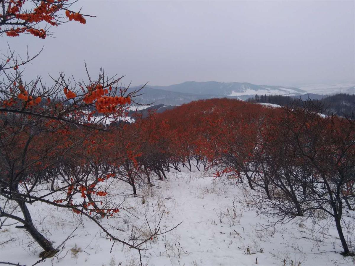 微信圖片_20200804163419.jpg