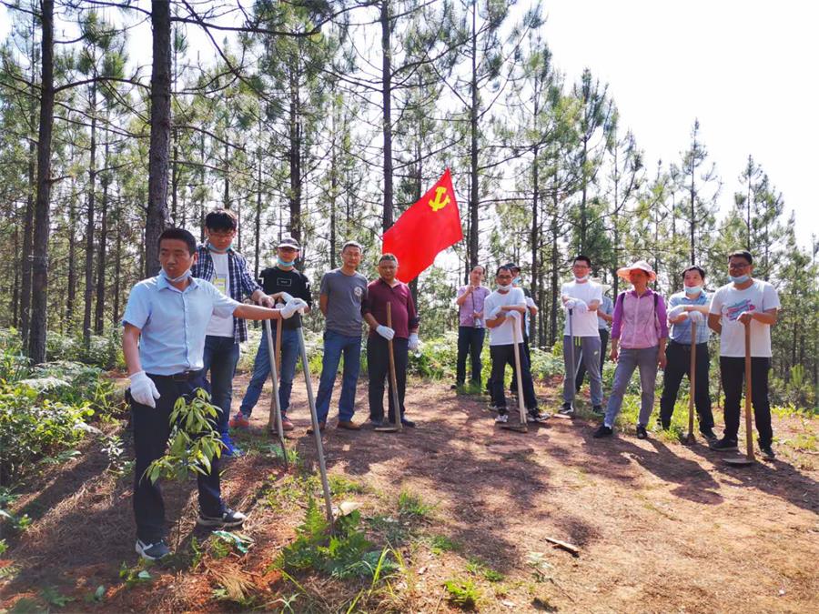 茂源林業技術團隊在儲備林建設項目基地上開展黨建活動.jpg
