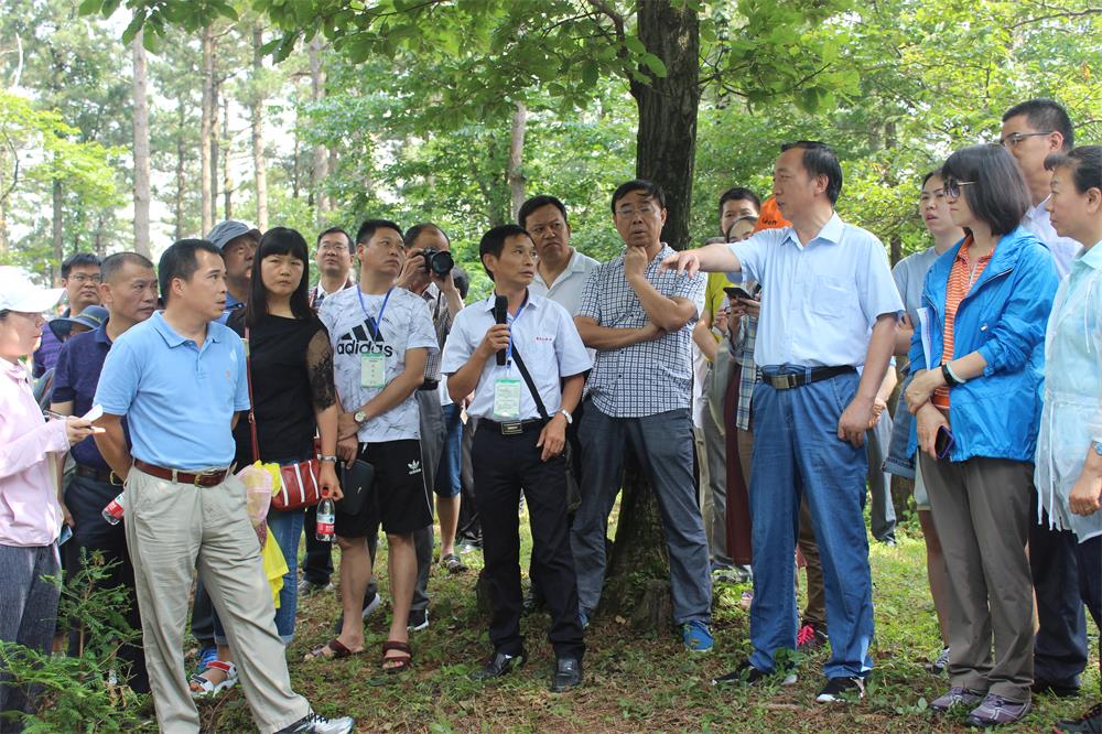 1　　2018年7月，國家林草局在黃柏山林場組織舉辦珍稀植物保護(hù)培訓(xùn)活動.jpg