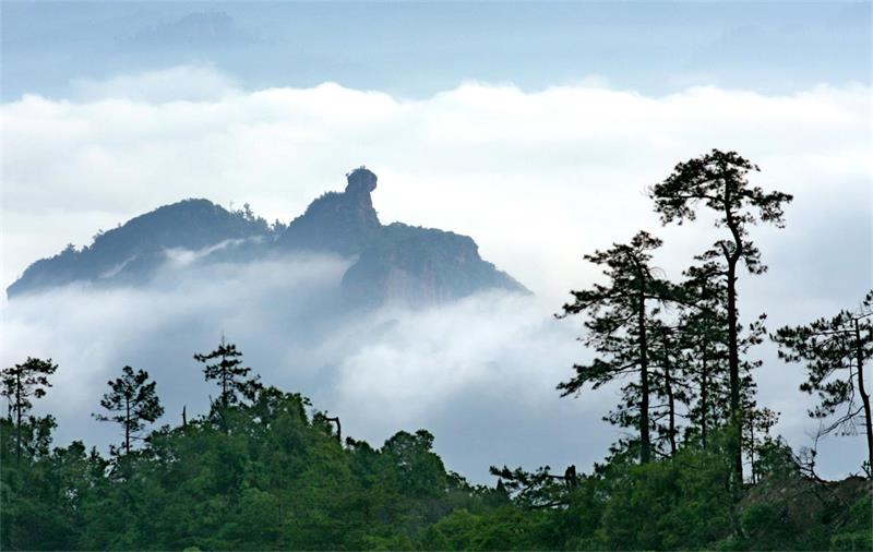 貓兒山森林公園 金貓窺世.jpg
