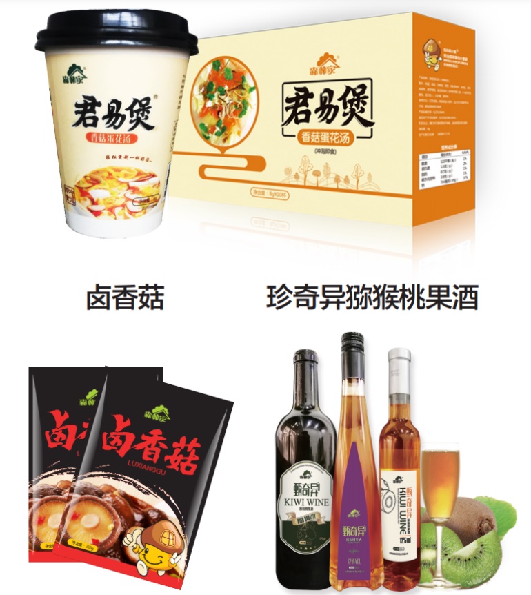 河南展團—森林家亮相2021廣州國際森交會