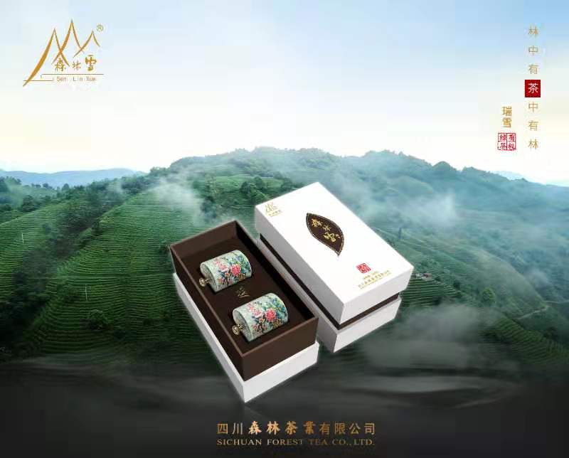 林草價值網(wǎng)鏈四川林業(yè)產(chǎn)業(yè)聯(lián)合會到大渡河造林局調(diào)研