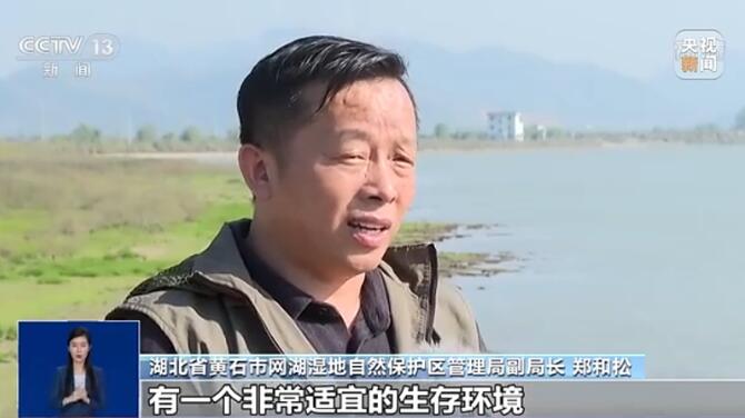 QQ截圖20221106100229.jpg