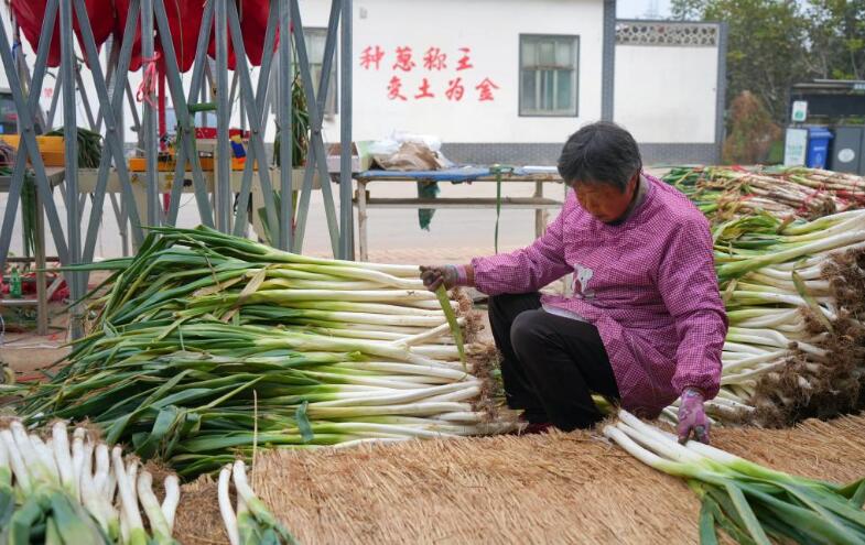 QQ截圖20221114091320.jpg