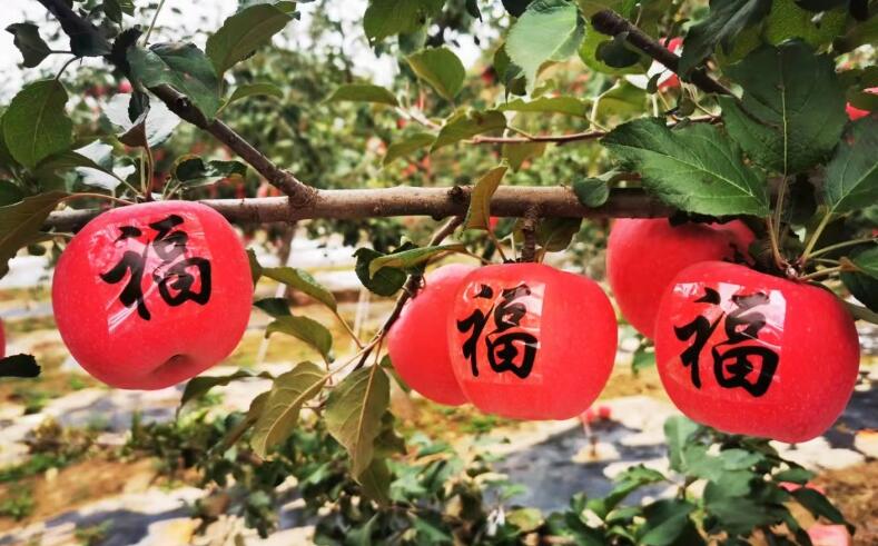 QQ截圖20221206085219.jpg