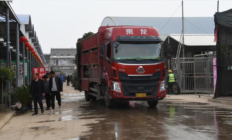 QQ截圖20230320081521.jpg