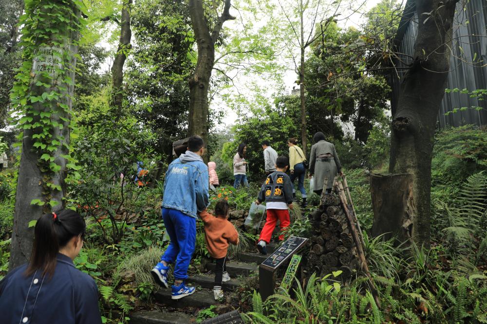 自然教育活動 (2).JPG