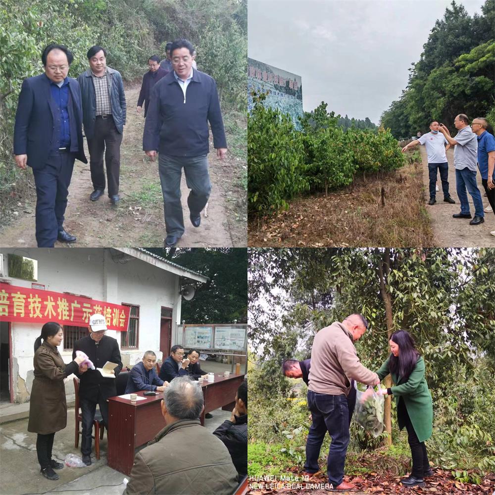 微信圖片_20231009100118.jpg