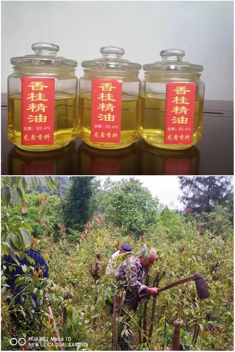 微信圖片_20231009103111.jpg