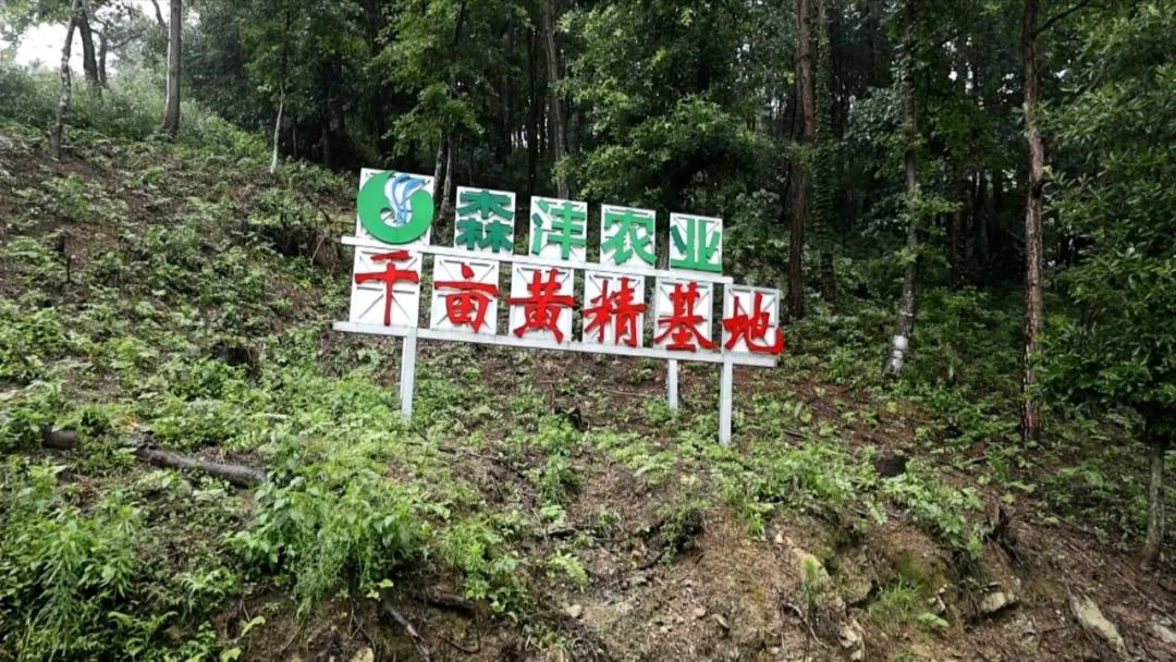 微信圖片_20240701210516.jpg