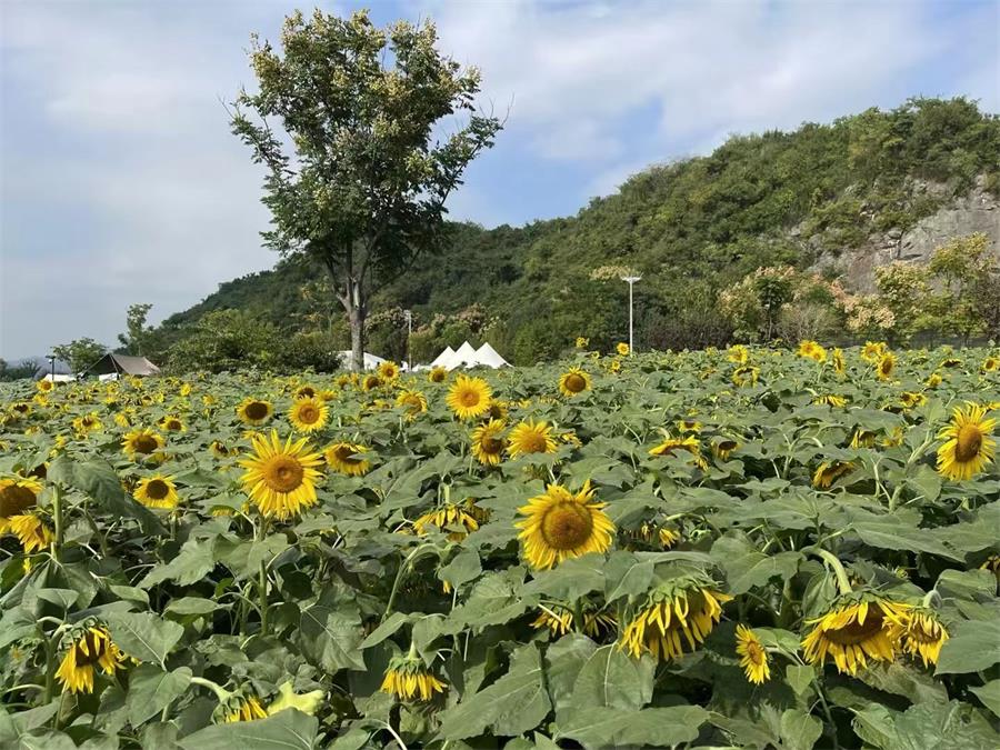 微信圖片_20241101220801.jpg