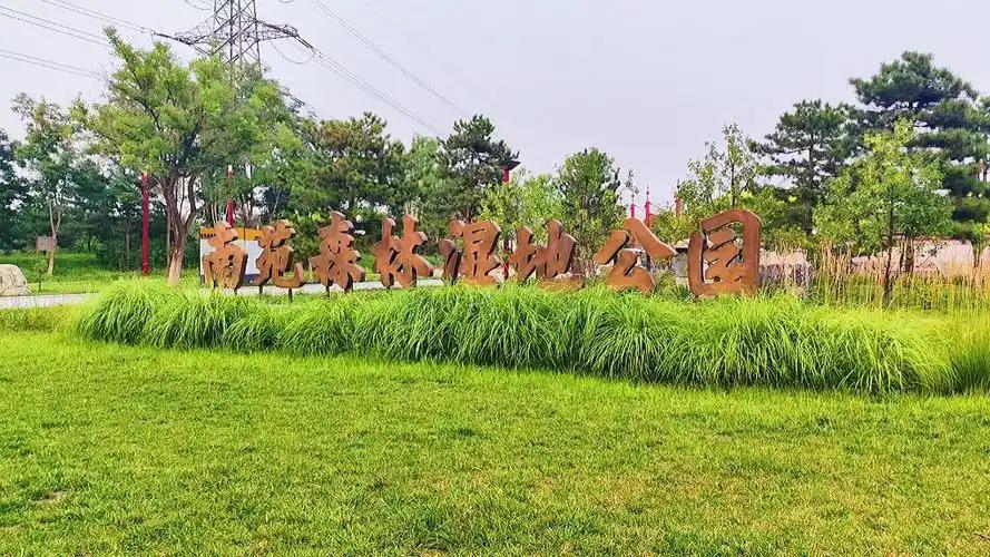 5555.jpg